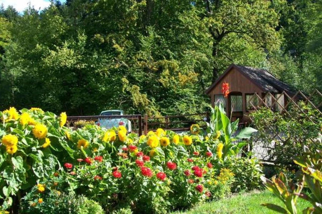 Apartament I Pokoje Goscinne U Lusi 비스와 외부 사진