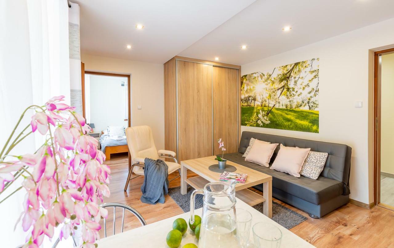 Apartament I Pokoje Goscinne U Lusi 비스와 외부 사진