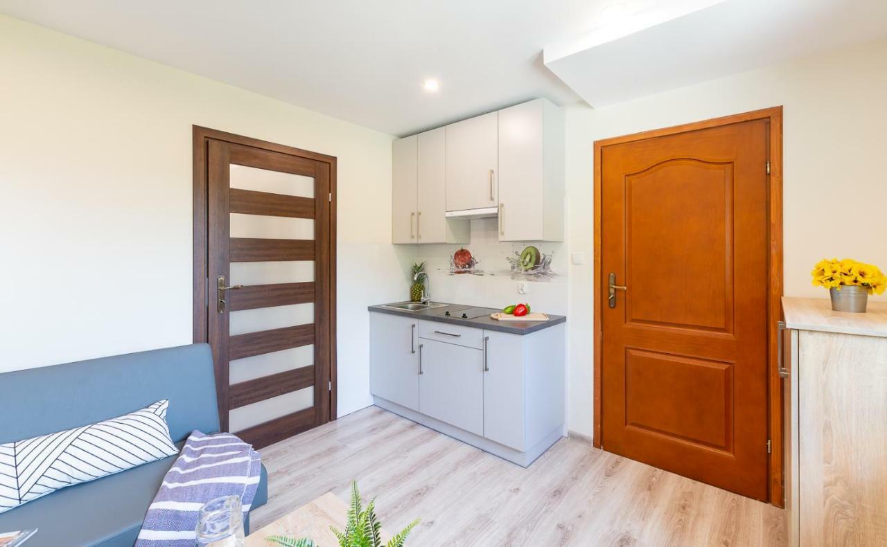 Apartament I Pokoje Goscinne U Lusi 비스와 외부 사진